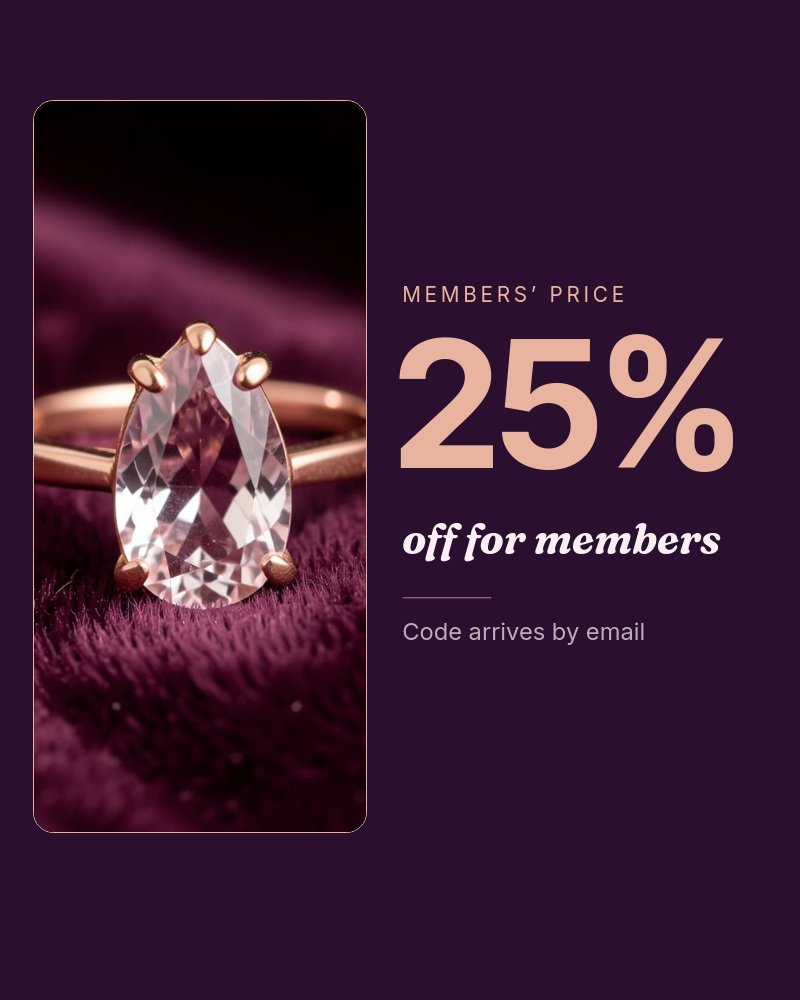Black Friday Early Access - Members Only Template - pane 3