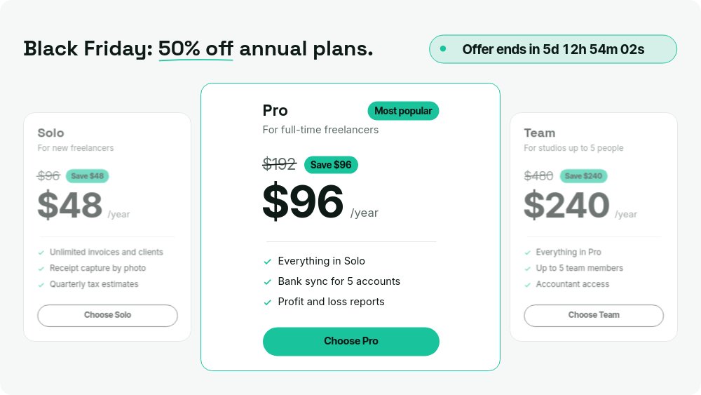 Black Friday SaaS Deal - Annual Pricing Template - pane 3