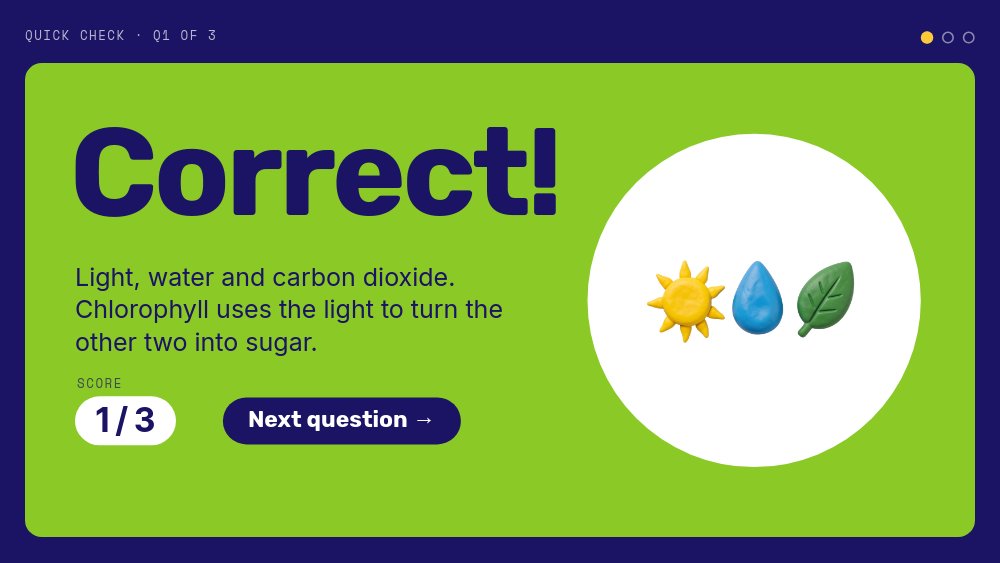 Classroom Quiz - Answer Reveal Template - pane 3