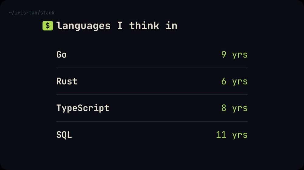 Developer Portfolio - Terminal Mono Template - pane 2