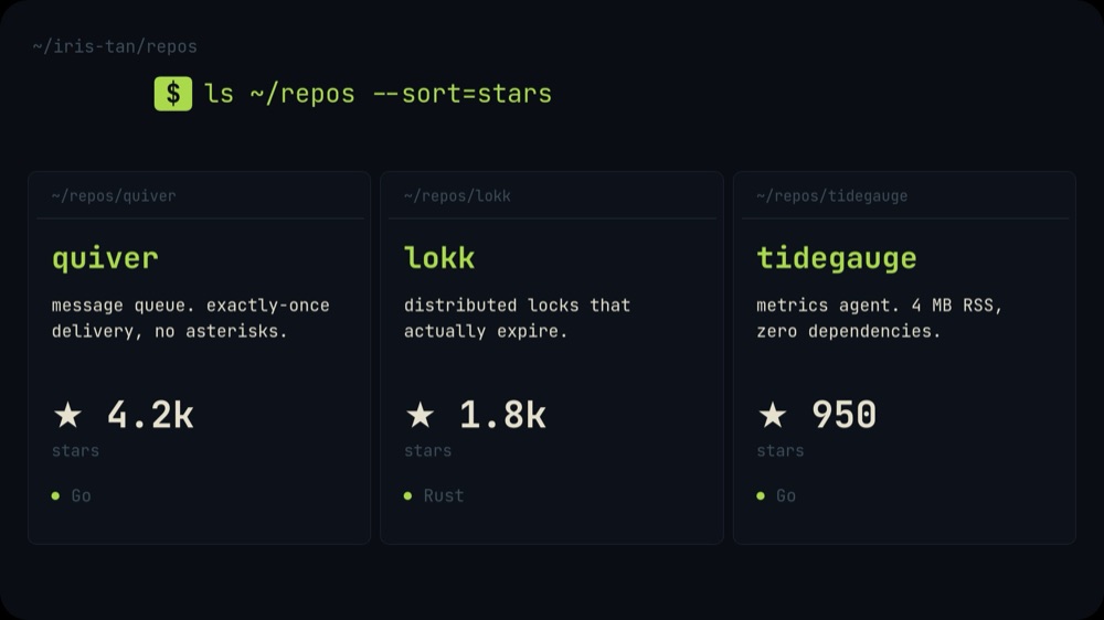 Developer Portfolio - Terminal Mono Template - pane 5
