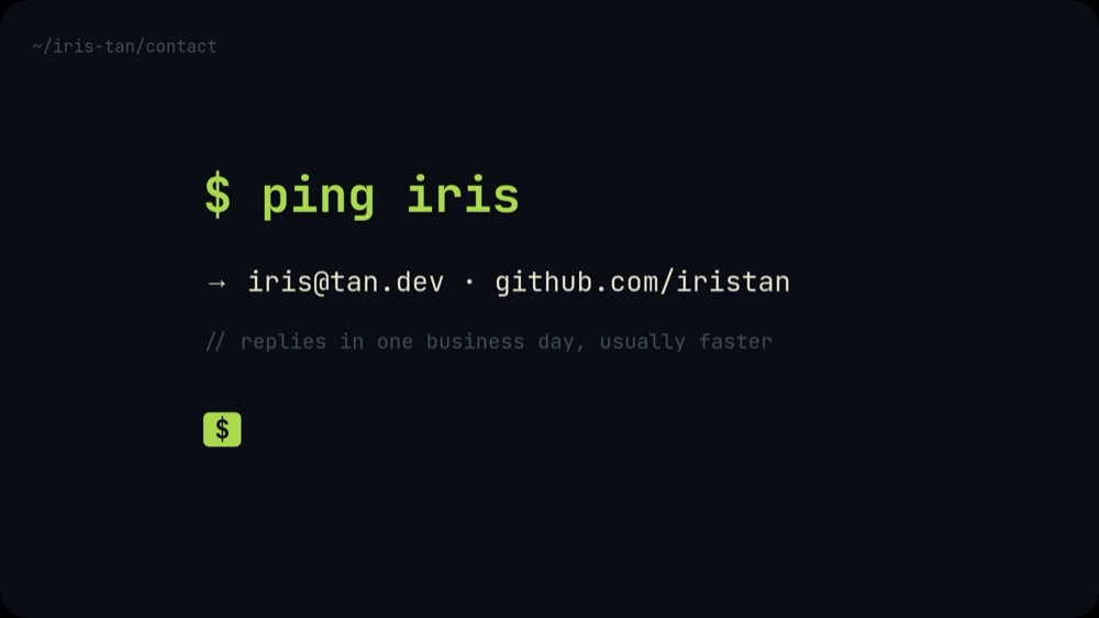 Developer Portfolio - Terminal Mono Template - pane 6