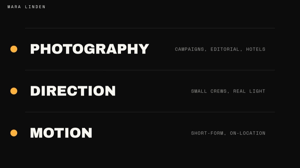 Personal Portfolio - Monochrome Amber Template - pane 3